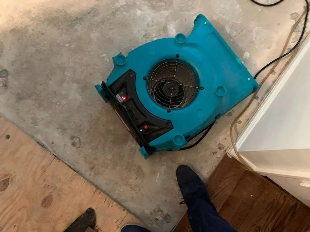Air mover drying subfloor during Leak Detection & Repair in Forest Park